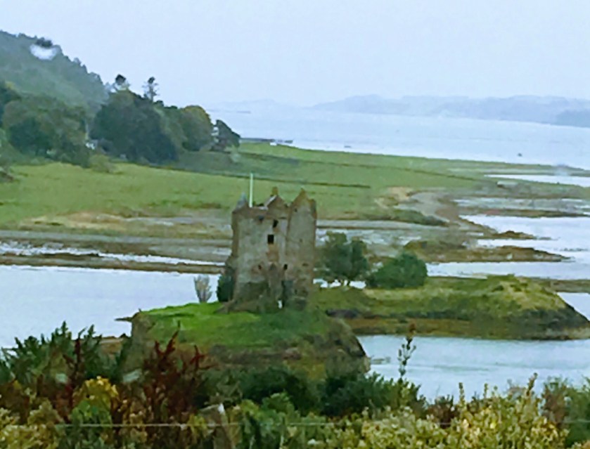 IMG_5776-EFFECTS (Edited)